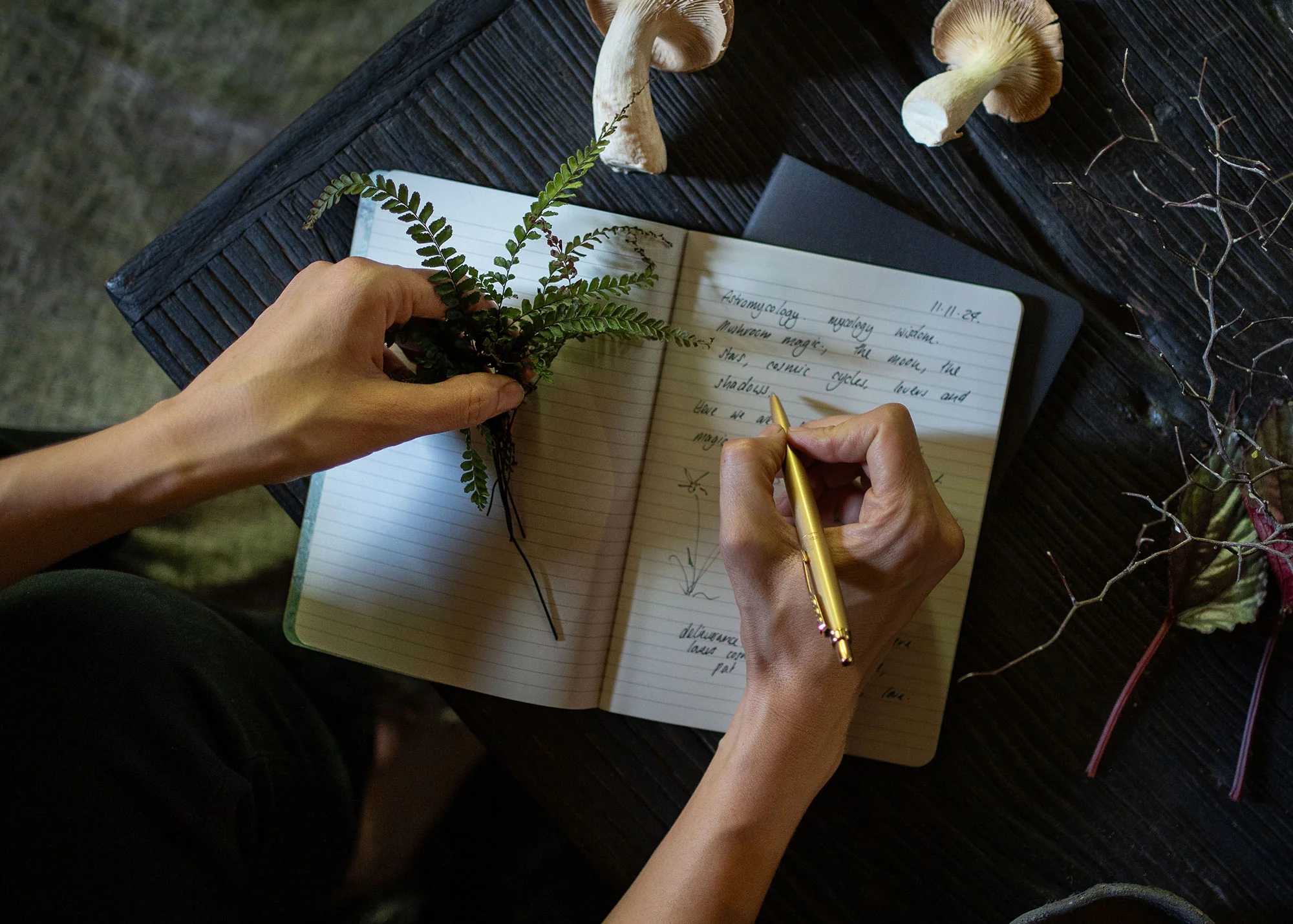 A5 ASTRO-MYCOLOGY NOTEBOOK: PSILOCYBE - Image 5